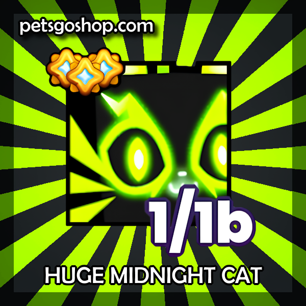 Huge Midnight Cat